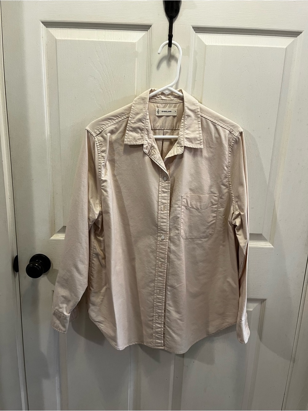 Everlane Pale Pink Long-Sleeve Button-Down Shirt